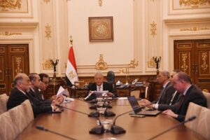 FB_IMG_1735491721965-300x200 النواب. يستقبل نائب رئيس مجلس الوزراء وزير الصحة لمناقشة مقترحات قانون المسؤلية الطبيه 