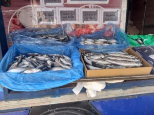 IMG-20250127-WA0030-300x225 تموين الغربية يحقق نجاحات ملموسة فى أسواق اليوم الواحد بين المواطنين