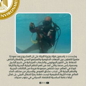 FB_IMG_1739041808425-300x300 وزيرة البيئة تعلن إنجازات المرحلة الأولى من مشروع صيانة وتركيب الشمندورات بمحمية رأس محمد ومدينة شرم الشيخ