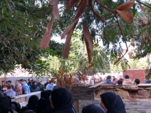 IMG-20250210-WA0023-300x225 الآلاف يشيعون جثمان أحمد مرجان قتيل المحلة