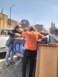 IMG-20250311-WA0037-226x300 تموين الغربية يضبط مواد غذائية منتهية الصلاحية ومنتجات مدعمة للبيع فى السوق السوداء