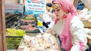 IMG-20250719-WA0015-300x169 «مستقبل وطن» ثان المحلة يطلق قافلة غذائية موسعة لدعم الأسر الأولى بالرعاية