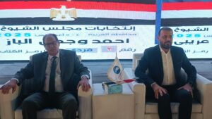 IMG_20250721_202824-300x169 حشود جماهيرية هائلة تدعم مرشحي مستقبل وطن بالمحلة