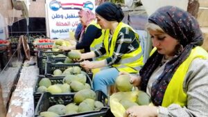 IMG-20250820-WA0055-300x169 «مستقبل وطن» ثان المحلة يواصل دعمه للأسر الأكثر احتياجًا بتوزيع المواد الغذائية والفاكهة الموسمية