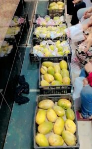 IMG-20250913-WA0011-186x300 «مستقبل وطن» ثان المحلة يوزع الفاكهة الموسمية دعمًا للأسر الأكثر احتياجًا