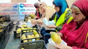 IMG-20250913-WA0019-300x169 «مستقبل وطن» ثان المحلة يوزع الفاكهة الموسمية دعمًا للأسر الأكثر احتياجًا