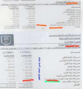 IMG-20251019-WA0570-279x300 ميزانية الزهور" تضع مجلس الدمرداش في ورطة قبل أيام من العملية الانتخابية