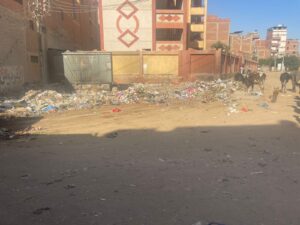 IMG-20251021-WA0096-300x225 مستقبل وطن ثان المحلة يقود حملة موسعة لإزالة ٦٠ طن مخلفات بمنطقة العلو بالتعاون مع رئاسة المدينة