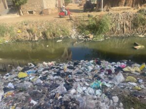 IMG-20251021-WA0106-300x225 مستقبل وطن ثان المحلة يقود حملة موسعة لإزالة ٦٠ طن مخلفات بمنطقة العلو بالتعاون مع رئاسة المدينة